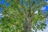 9284 Highway 61 - Photo 7