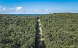 2436 Highway 17 - Photo 15