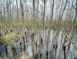 0 State Highway 53 - Photo 16