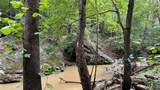 920 Poplar Camp Road - Photo 21