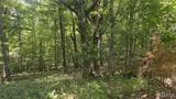 920 Poplar Camp Road - Photo 24