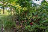 17340 County Road 252 - Photo 39