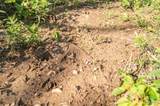 17340 County Road 252 - Photo 50