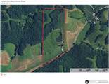 2924 Bess Hollow Road - Photo 5