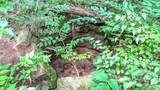 Along Wine Hill Road - Photo 67