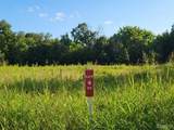 5.3 +/- Wapiti Trail - Photo 3