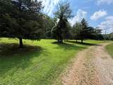 Lot 1 Birds Nest Road - Photo 13