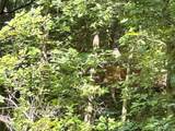 355 County Road - Photo 45