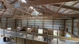 23036 Carlyle Road - Photo 50