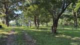 23036 Carlyle Road - Photo 61