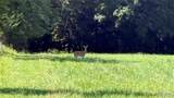 23036 Carlyle Road - Photo 64