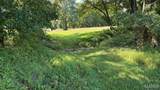 23036 Carlyle Road - Photo 70