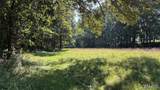 23036 Carlyle Road - Photo 71