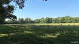 23036 Carlyle Road - Photo 72