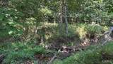 23036 Carlyle Road - Photo 73
