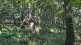 23036 Carlyle Road - Photo 75