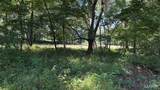 23036 Carlyle Road - Photo 82