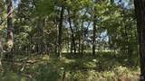 23036 Carlyle Road - Photo 83