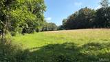 23036 Carlyle Road - Photo 86