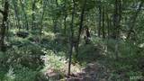 23036 Carlyle Road - Photo 88