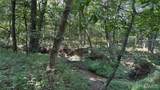 23036 Carlyle Road - Photo 89