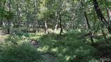 23036 Carlyle Road - Photo 90