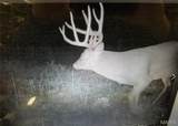 23036 Carlyle Road - Photo 91