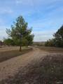 15639 State Highway 185 - Photo 18