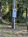 16653 Wayne Highway D - Photo 6
