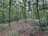 7038 Port Perry Drive - Photo 3
