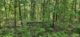 0 County Road 4050 - Photo 1