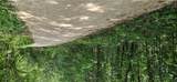 0 County Road 4050 - Photo 2