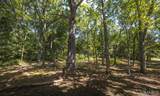 3107 Bouquet Road - Photo 5