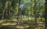 3107 Bouquet Road - Photo 9