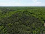 12488 State Highway 21 - Photo 7