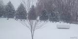 7303 Fork Road - Photo 40