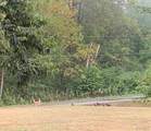7303 Fork Road - Photo 44