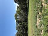 Tract 2 Ramsey Drive - Photo 2