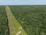41 Acres Whittaker Road - Photo 11