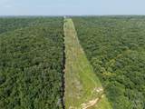 41 Acres Whittaker Road - Photo 12