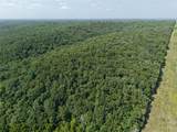 41 Acres Whittaker Road - Photo 13