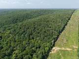 41 Acres Whittaker Road - Photo 14