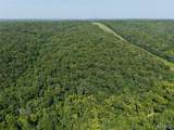 41 Acres Whittaker Road - Photo 15