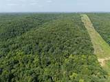 41 Acres Whittaker Road - Photo 16