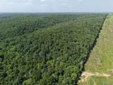 41 Acres Whittaker Road - Photo 17