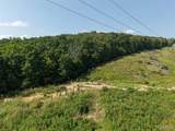 41 Acres Whittaker Road - Photo 19