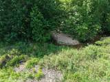 41 Acres Whittaker Road - Photo 6