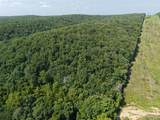 41 Acres Whittaker Road - Photo 7