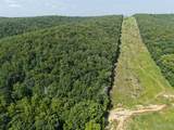 41 Acres Whittaker Road - Photo 9