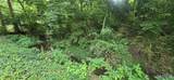 0 Birch Drive - Photo 3